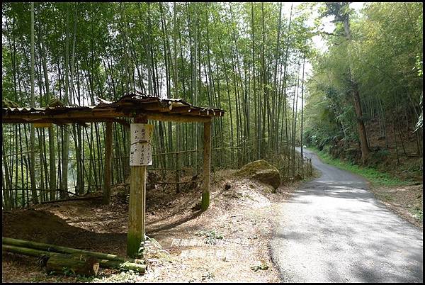 瑞里綠色隧道23.JPG 瑞里綠色隧道23.JPG