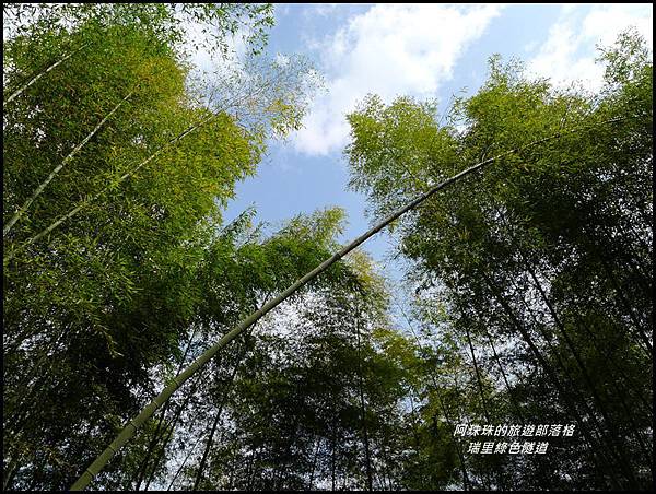 瑞里綠色隧道25.JPG 瑞里綠色隧道25.JPG