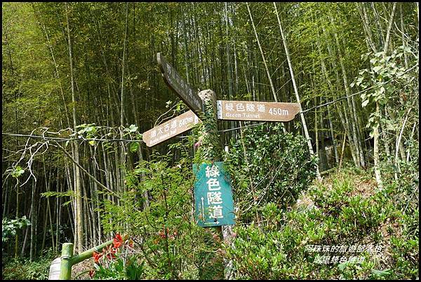 瑞里綠色隧道27.JPG