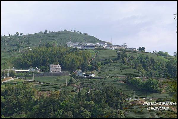 瑞里綠色隧道26.JPG 瑞里綠色隧道26.JPG