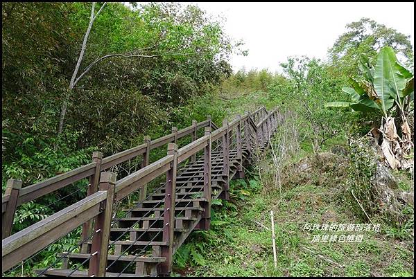 瑞里綠色隧道30.JPG 瑞里綠色隧道30.JPG