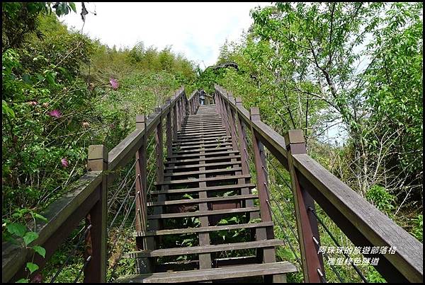 瑞里綠色隧道31.JPG 瑞里綠色隧道31.JPG