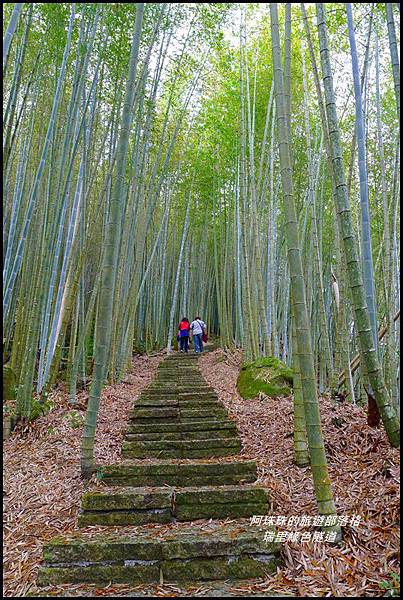 瑞里綠色隧道33.JPG