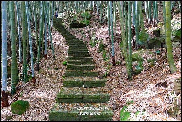 瑞里綠色隧道34.JPG 瑞里綠色隧道34.JPG