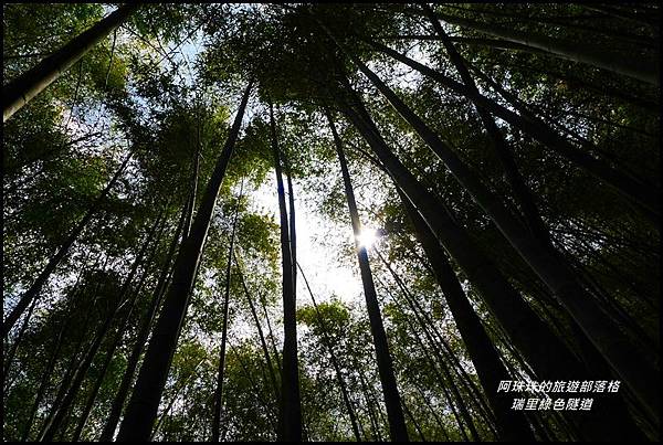 瑞里綠色隧道35.JPG 瑞里綠色隧道35.JPG