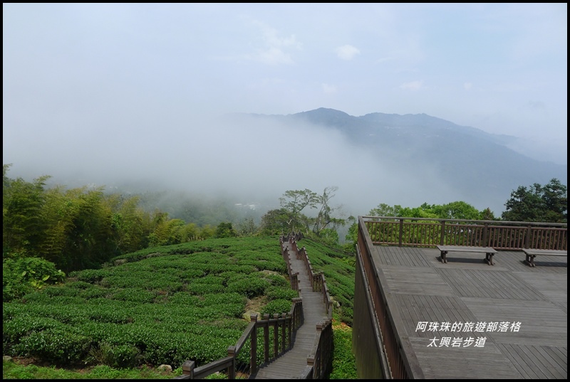 太興岩步道1.JPG