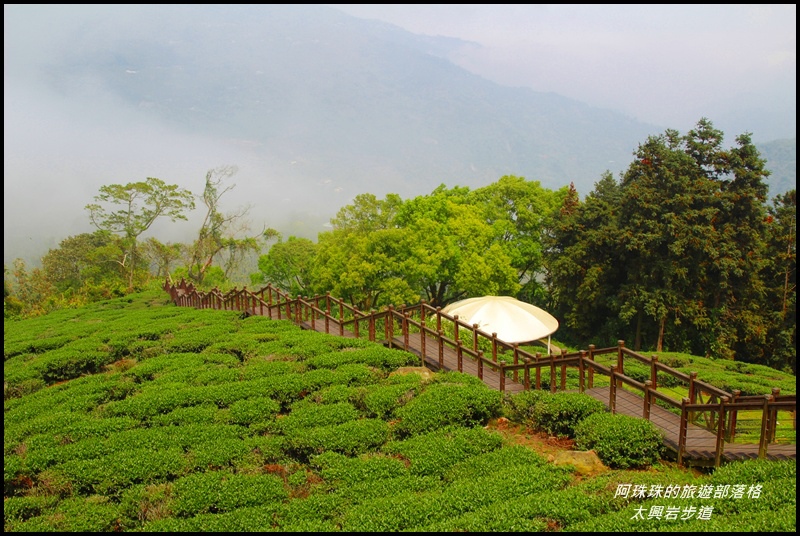 太興岩步道3.JPG