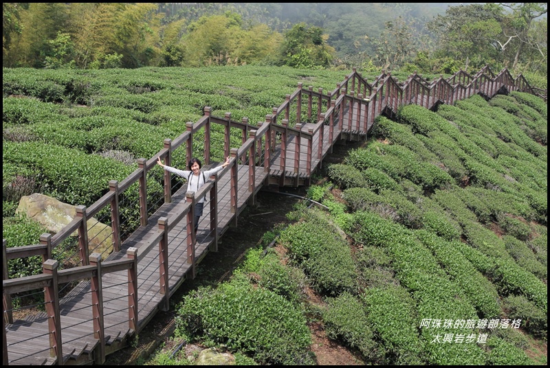 太興岩步道4.JPG