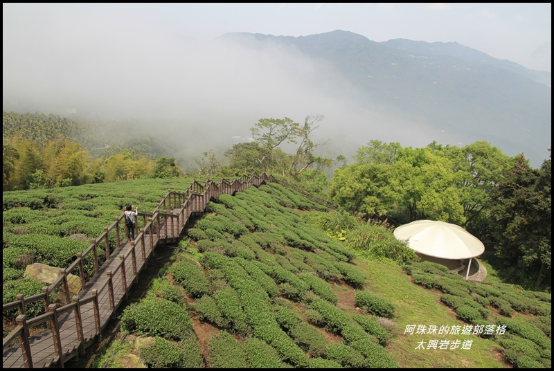 太興岩步道5.JPG