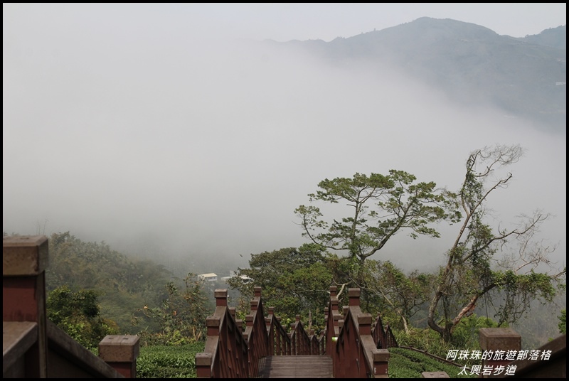 太興岩步道7.JPG 太興岩步道7.JPG