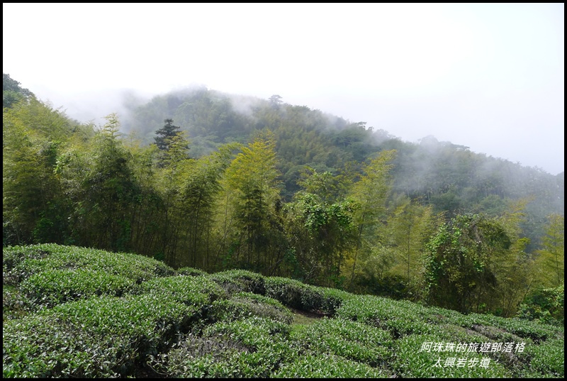 太興岩步道9.JPG 太興岩步道9.JPG
