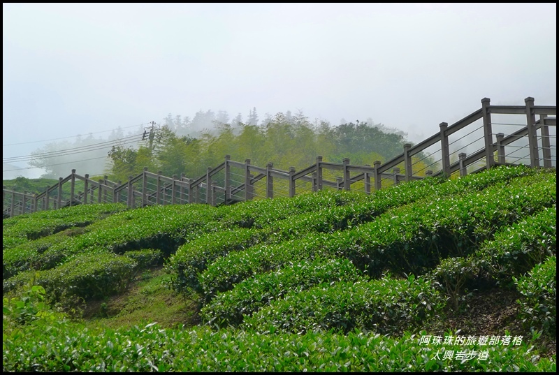 太興岩步道14.JPG 太興岩步道14.JPG