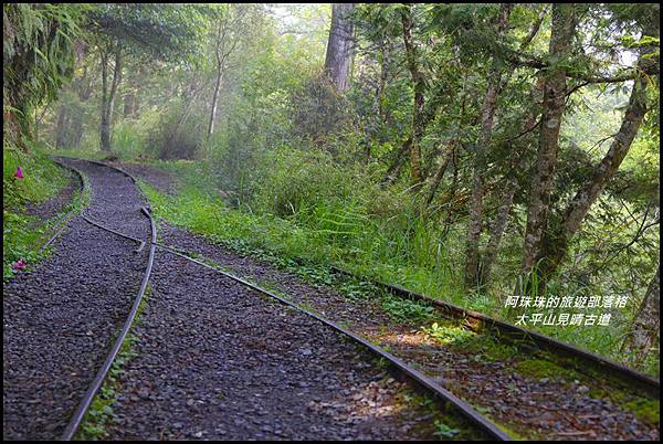 太平山見晴古道4.JPG 太平山見晴古道4.JPG
