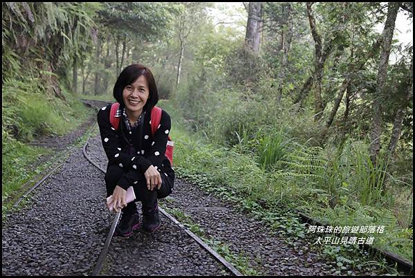 太平山見晴古道5.JPG 太平山見晴古道5.JPG