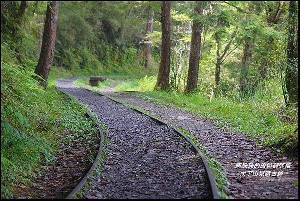 太平山見晴古道6.JPG