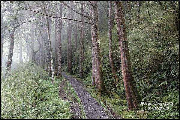 太平山見晴古道8.JPG 太平山見晴古道8.JPG