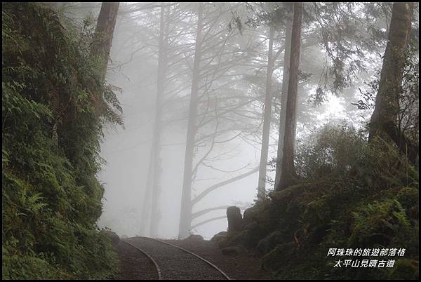太平山見晴古道11.JPG 太平山見晴古道11.JPG