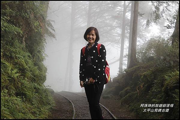 太平山見晴古道12.JPG 太平山見晴古道12.JPG