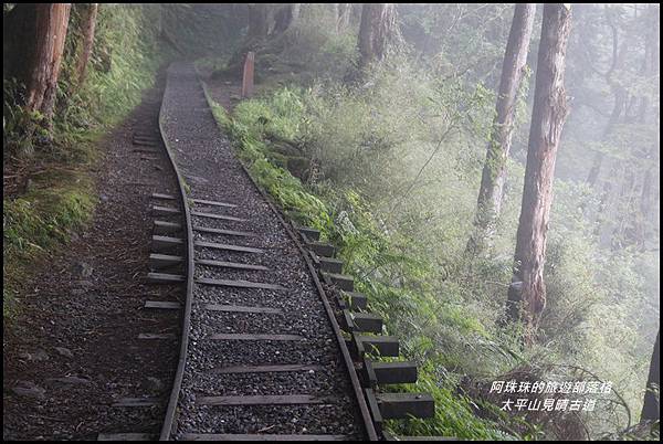 太平山見晴古道15.JPG 太平山見晴古道15.JPG