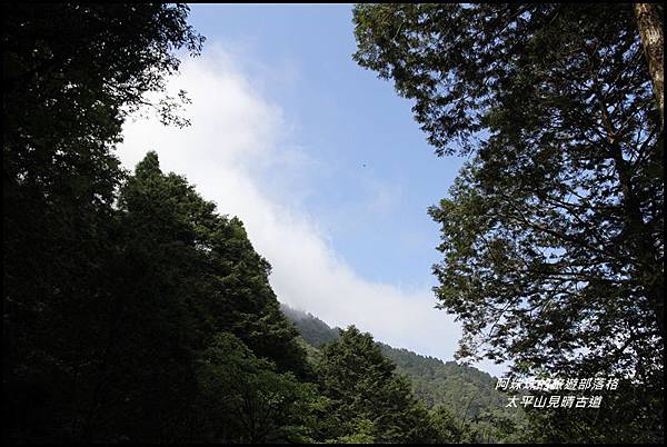 太平山見晴古道16.JPG 太平山見晴古道16.JPG