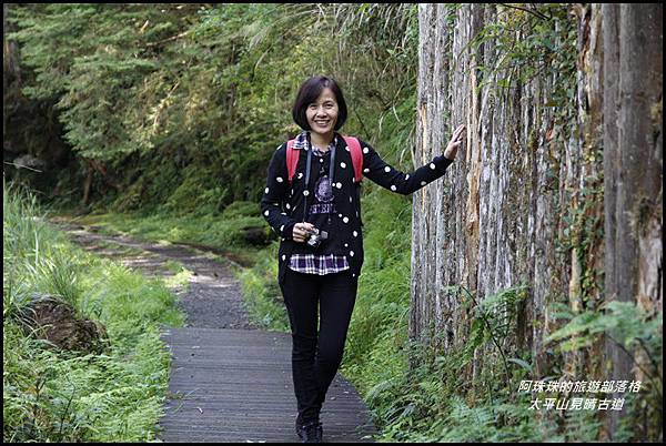 太平山見晴古道17.JPG 太平山見晴古道17.JPG