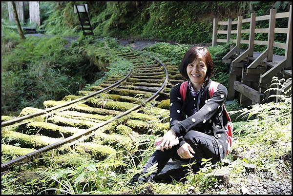 太平山見晴古道21.JPG 太平山見晴古道21.JPG