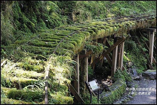 太平山見晴古道23.JPG 太平山見晴古道23.JPG