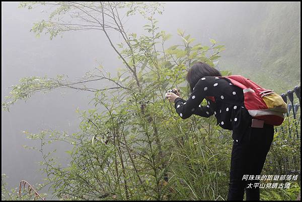 太平山見晴古道31.JPG 太平山見晴古道31.JPG