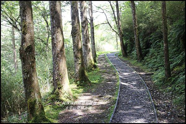 太平山見晴古道42.JPG 太平山見晴古道42.JPG