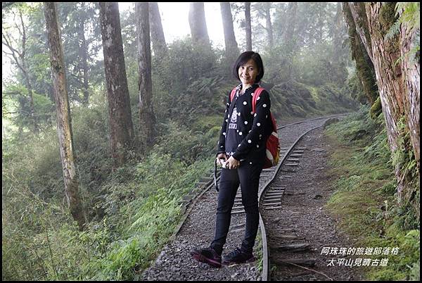 太平山見晴古道41.JPG 太平山見晴古道41.JPG