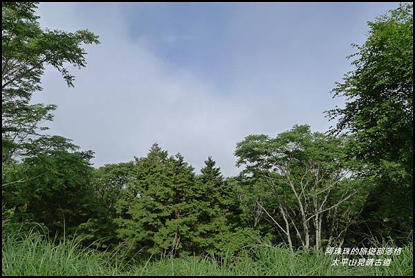 太平山見晴古道43.JPG 太平山見晴古道43.JPG