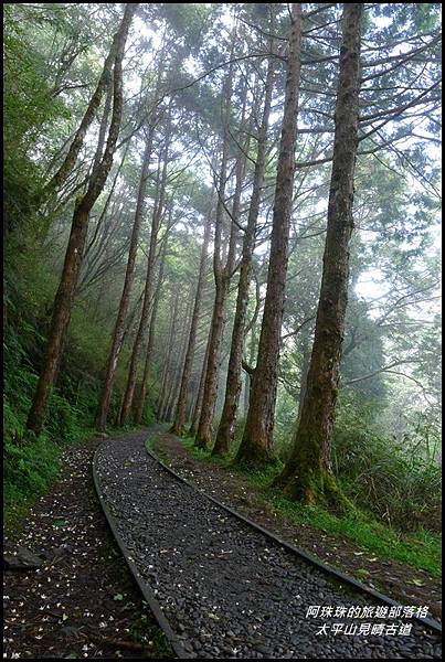 太平山見晴古道46.JPG 太平山見晴古道46.JPG