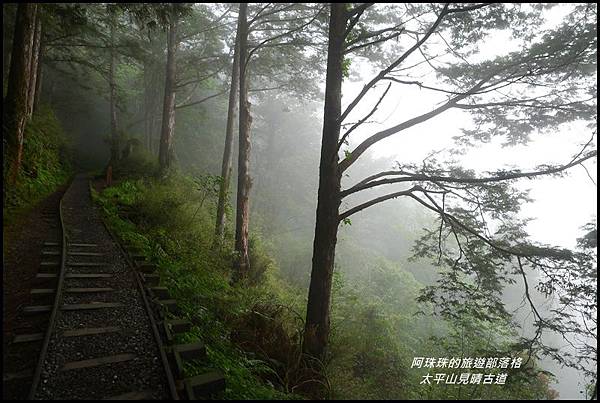 太平山見晴古道48.JPG 太平山見晴古道48.JPG