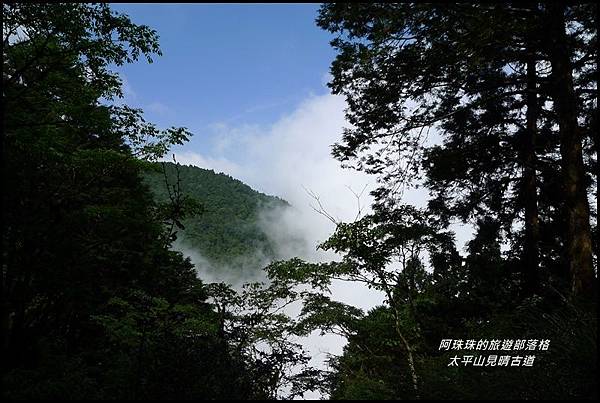 太平山見晴古道52.JPG 太平山見晴古道52.JPG