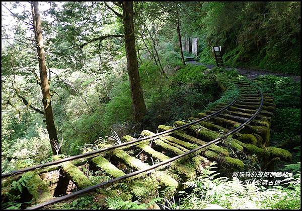 太平山見晴古道54.JPG 太平山見晴古道54.JPG