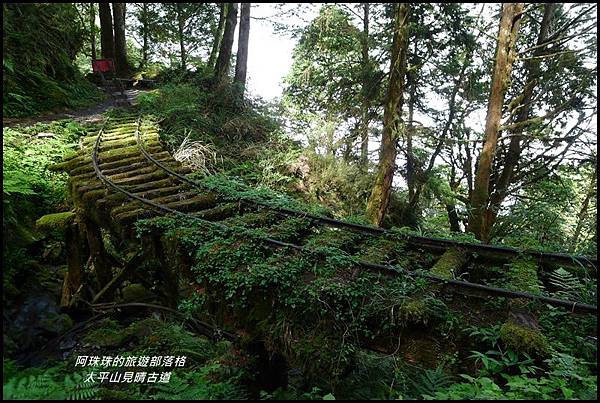 太平山見晴古道55.JPG 太平山見晴古道55.JPG