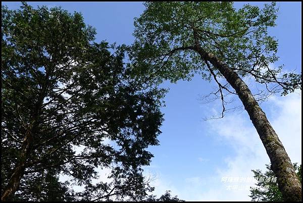 太平山見晴古道59.JPG 太平山見晴古道59.JPG