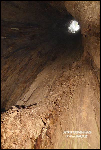 太平山見晴古道69.JPG 太平山見晴古道69.JPG