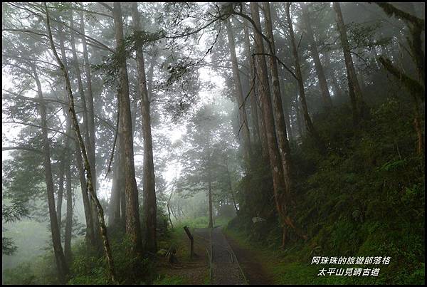 太平山見晴古道70.JPG