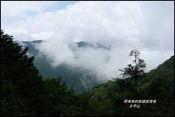 太平山見晴古道73.JPG