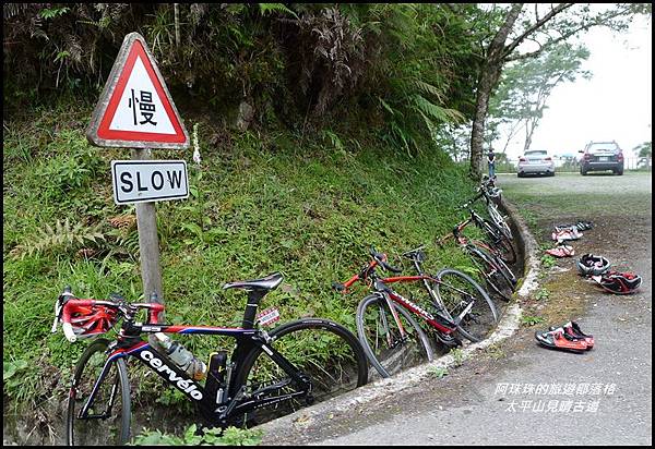 太平山見晴古道72.JPG