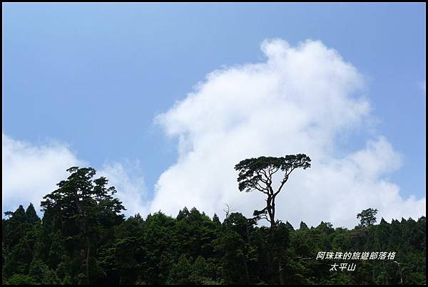 太平山見晴古道74.JPG 太平山見晴古道74.JPG