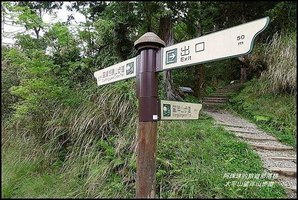 太平山望洋山步道6.JPG 太平山望洋山步道6.JPG