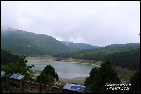 太平山望洋山步道7.JPG 太平山望洋山步道7.JPG