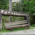 太平山望洋山步道9.JPG