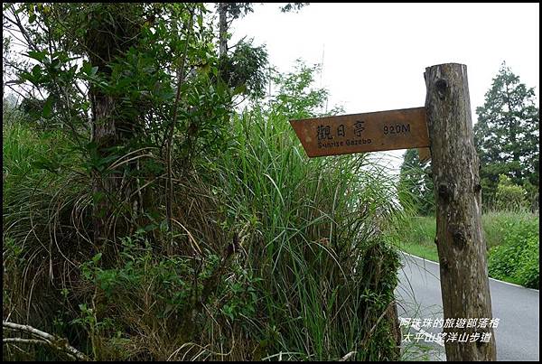 太平山望洋山步道10.JPG 太平山望洋山步道10.JPG