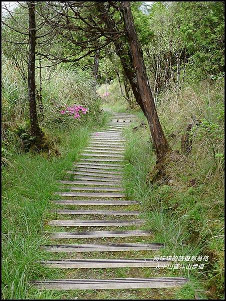 太平山望洋山步道17.JPG