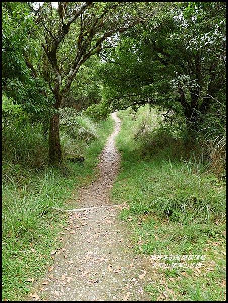 太平山望洋山步道23.JPG