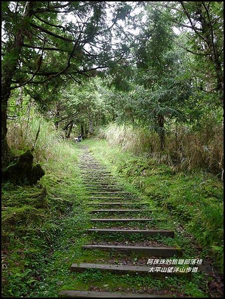 太平山望洋山步道31.JPG 太平山望洋山步道31.JPG