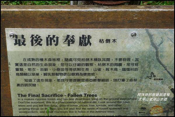 太平山望洋山步道34.JPG 太平山望洋山步道34.JPG